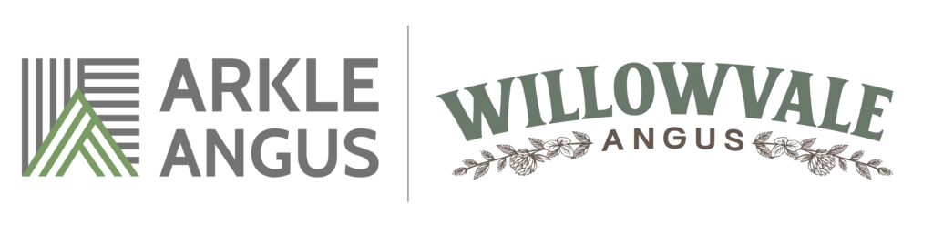 Willowvale Angus logo