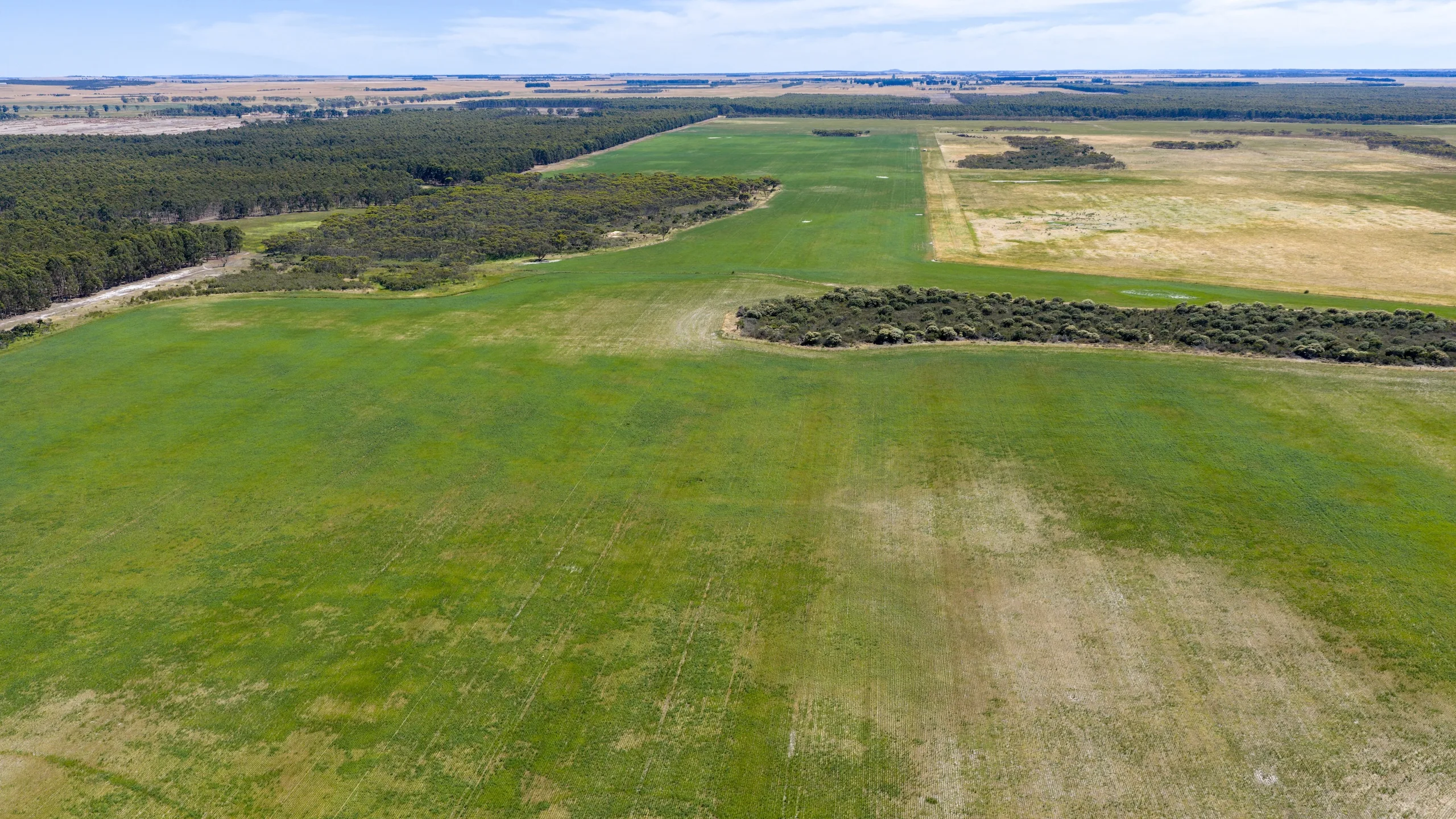 Aerial view of coronet hill fields